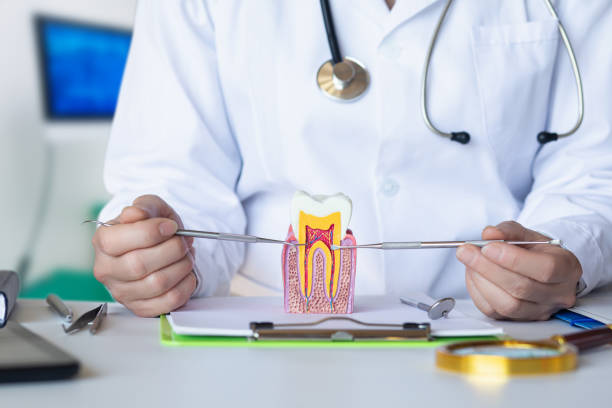 Best Emergency Treatment for Dental Infections or Abscesses in Ipswich, SD